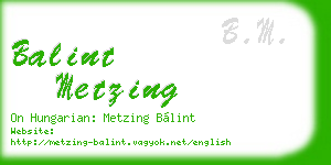 balint metzing business card